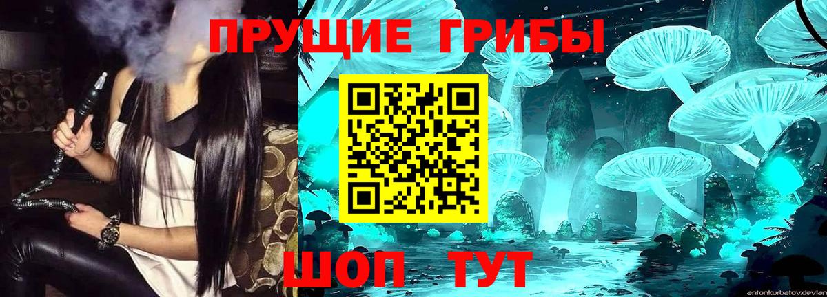 Псилоцибиновые грибы мицелий  Псилоцибиновые грибы Psilocybe  Вход с VPN  Арсеньев 